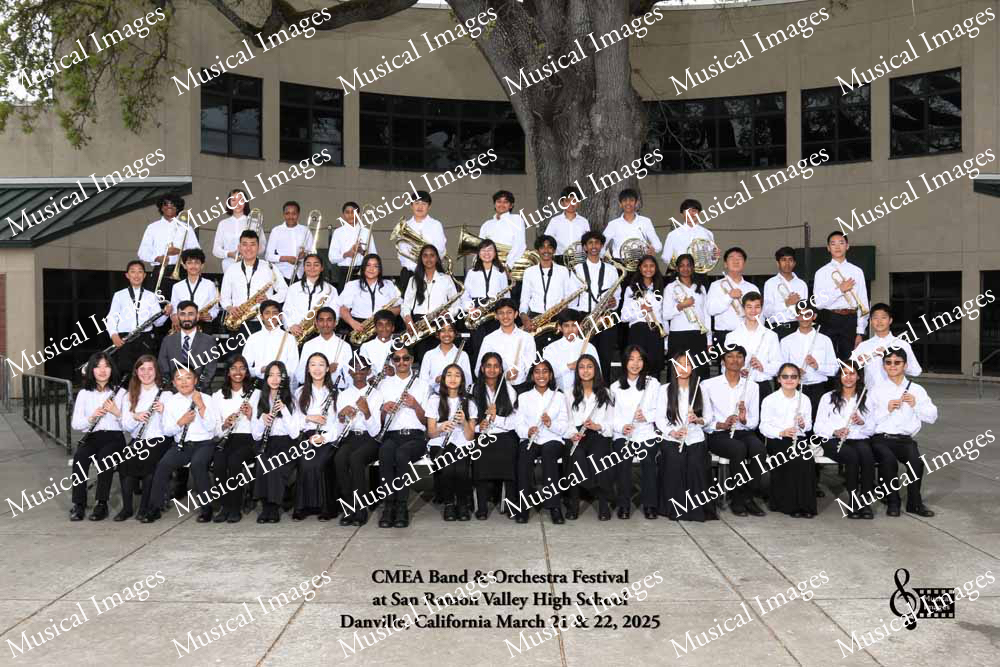 Musical Images